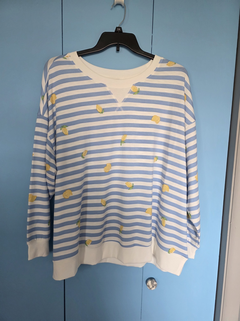 Striped Blue & White Long Sleeve Tee with Lemon Print